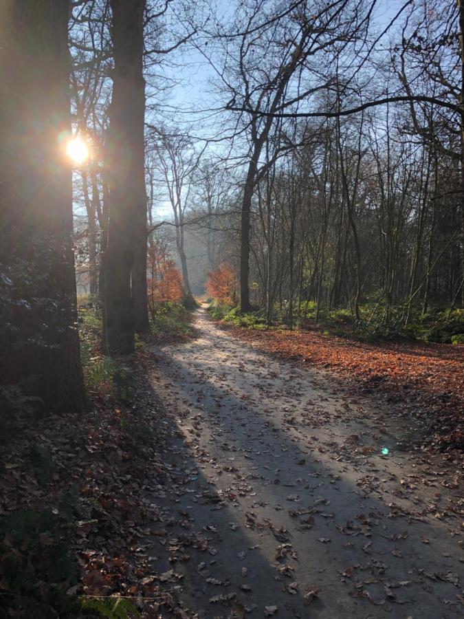 B&B In Karakteristieke Woning, Lytse Loane 5 Ee Ee Esterno foto